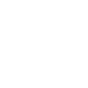 Alessandro Serena